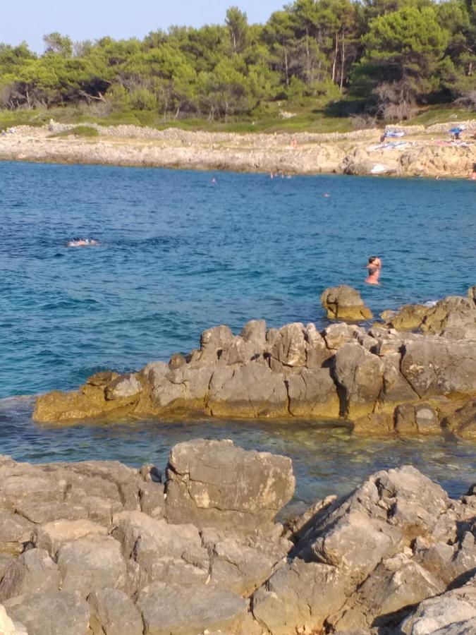 Vlasta Mali Lošinj Zewnętrze zdjęcie